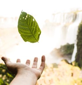 Respeto al medioambiente uvirtual